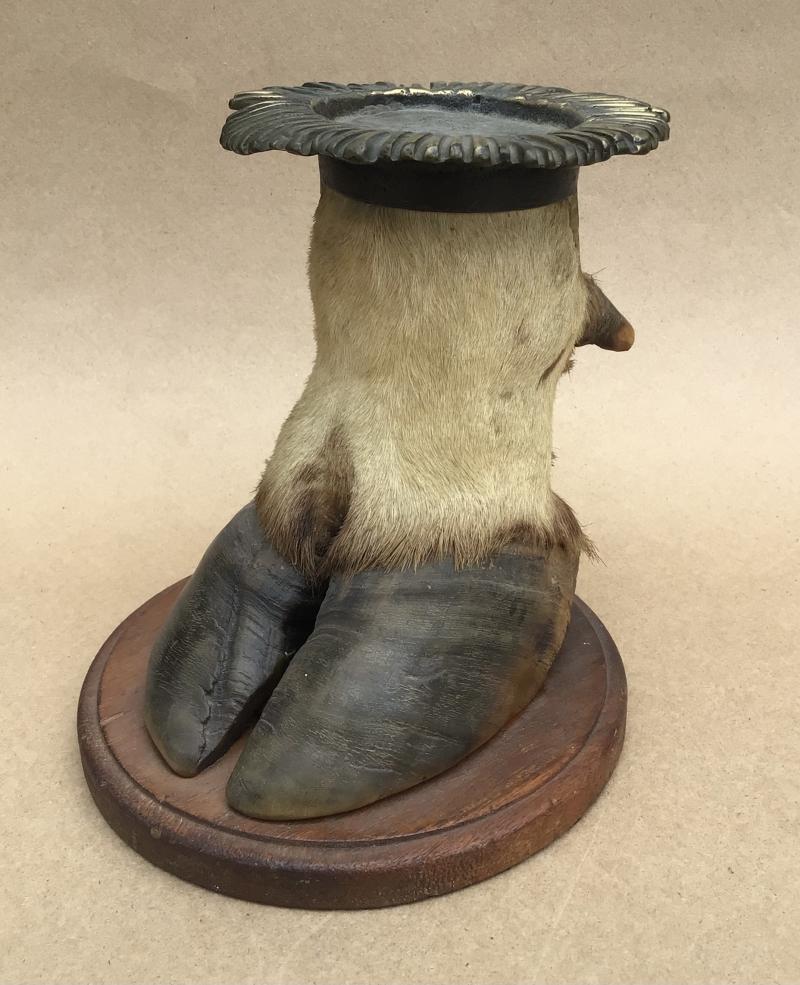 African Great Kudu Hoof Mount